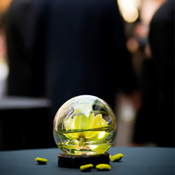 corporate events